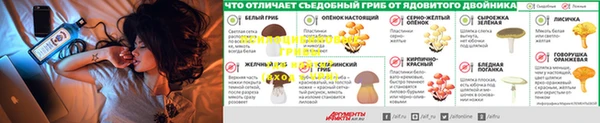 амф Балахна