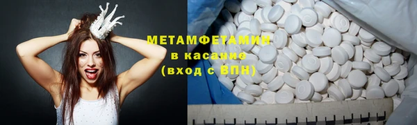 прущие грибы Аркадак