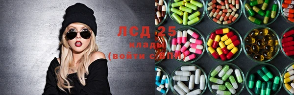 крисы Баксан
