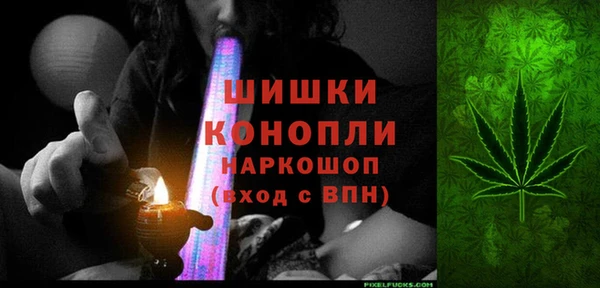 крисы Баксан