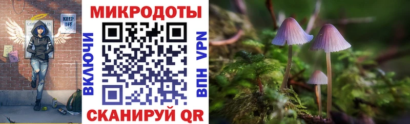 KRAKEN как зайти  Сафоново  Псилоцибиновые грибы Psilocybine cubensis 